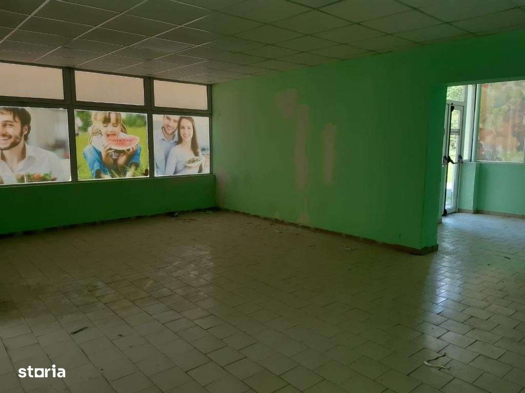 Spatiu comercial Moinesti Lucacesti - 511 mp-9