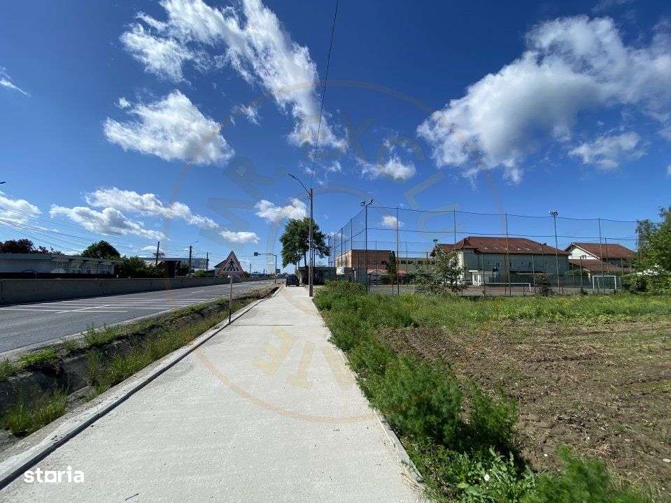 Teren intravilan 7.295 mp – Argeselu, Maracineni, AG - Imagine principală: 3/7