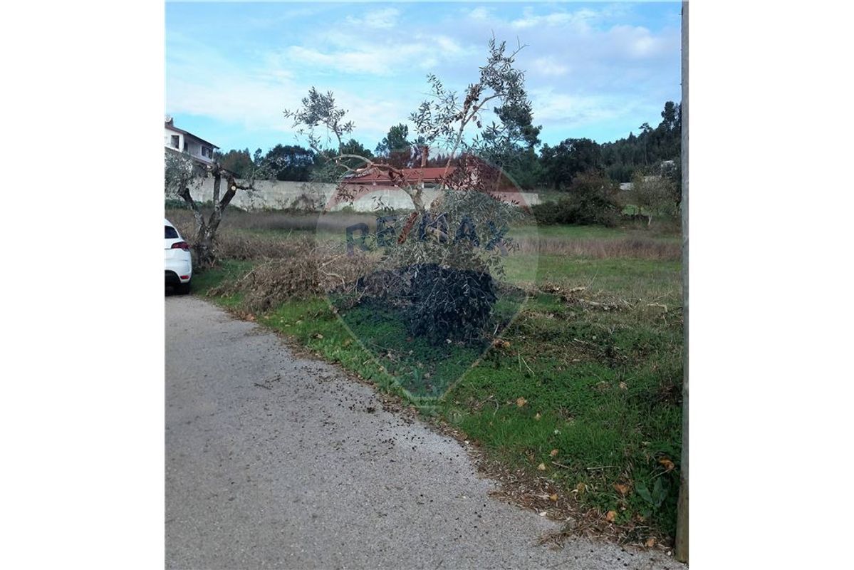 Terreno  para venda