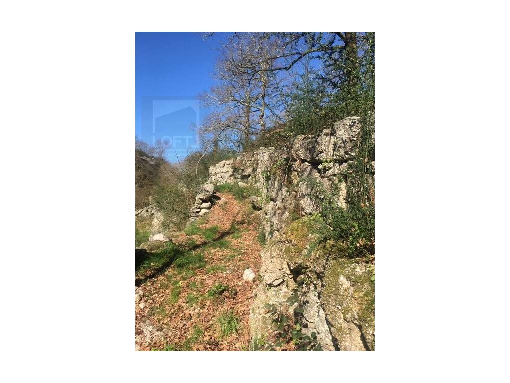 Moinhos Para Recuperar OPORTUNIDADE-10