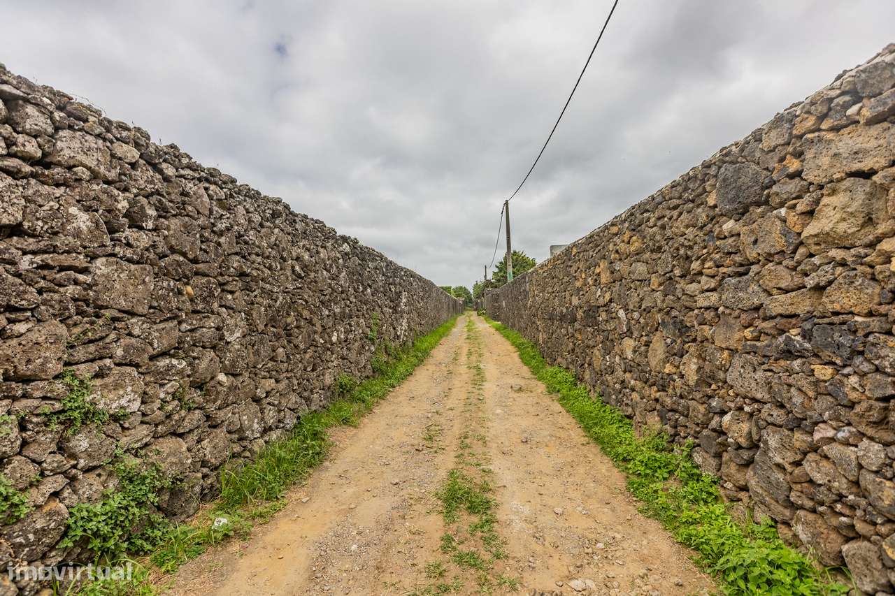 Terreno Rústico - Lagoa - Grande imagem: 4/9