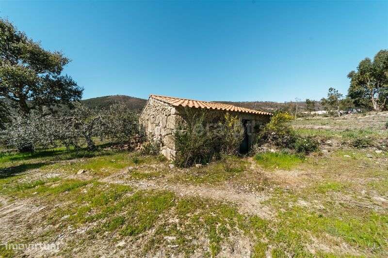 Quinta T1 / Fundão, Monte Leal - Grande imagem: 3/20