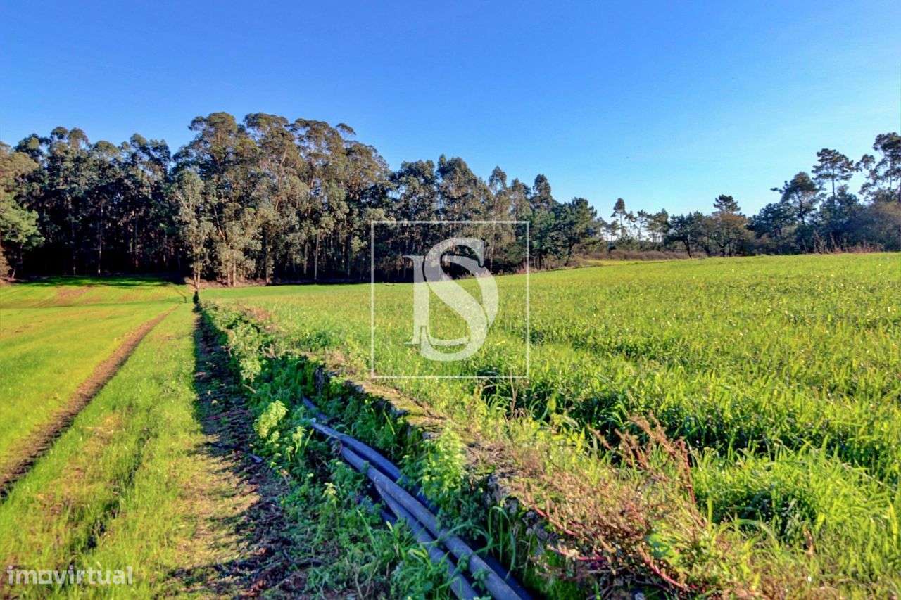 Terreno – Laúndos – Póvoa de Varzim - Grande imagem: 3/4