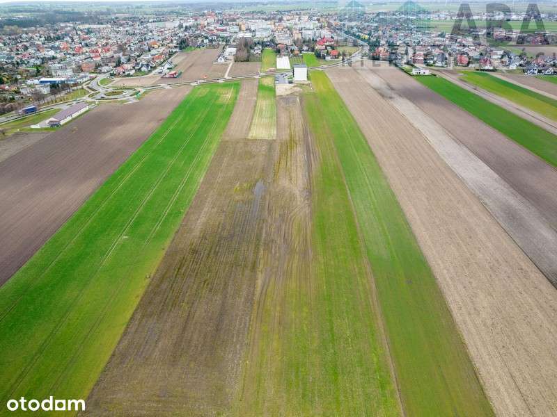 Wspaniała działka budowlana w Słupcy - OKAZJA!-4