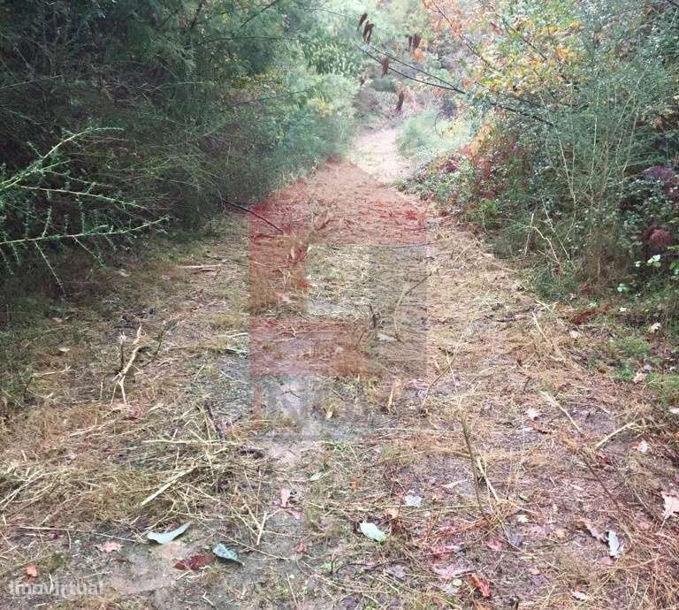 Terreno para construção - Grande imagem: 5/8