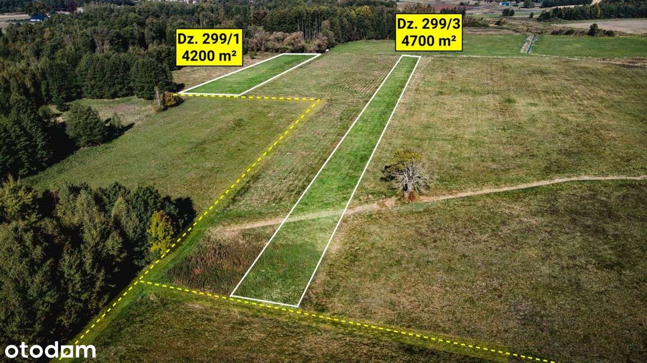 Działa rolna (łąka) 4200 m², Żebrak, gm. Skórzec-5