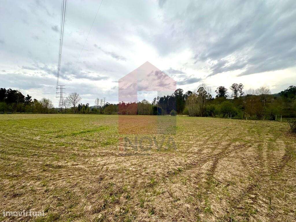 Terreno agrícola, Lanhas - Grande imagem: 4/8