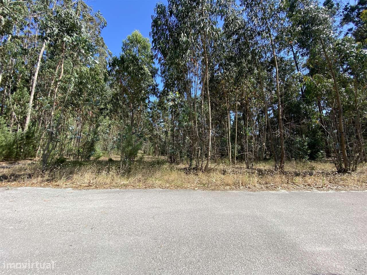 Terreno de Construção / Casal Novo / Amor - Grande imagem: 4/5