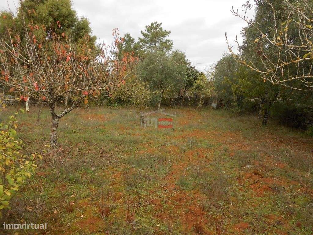 Terreno para Construção - Grande imagem: 1/14