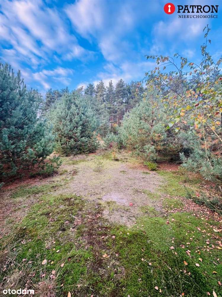 Działka z Warunkami Zabudowy - Pełny obrazek: 2/7