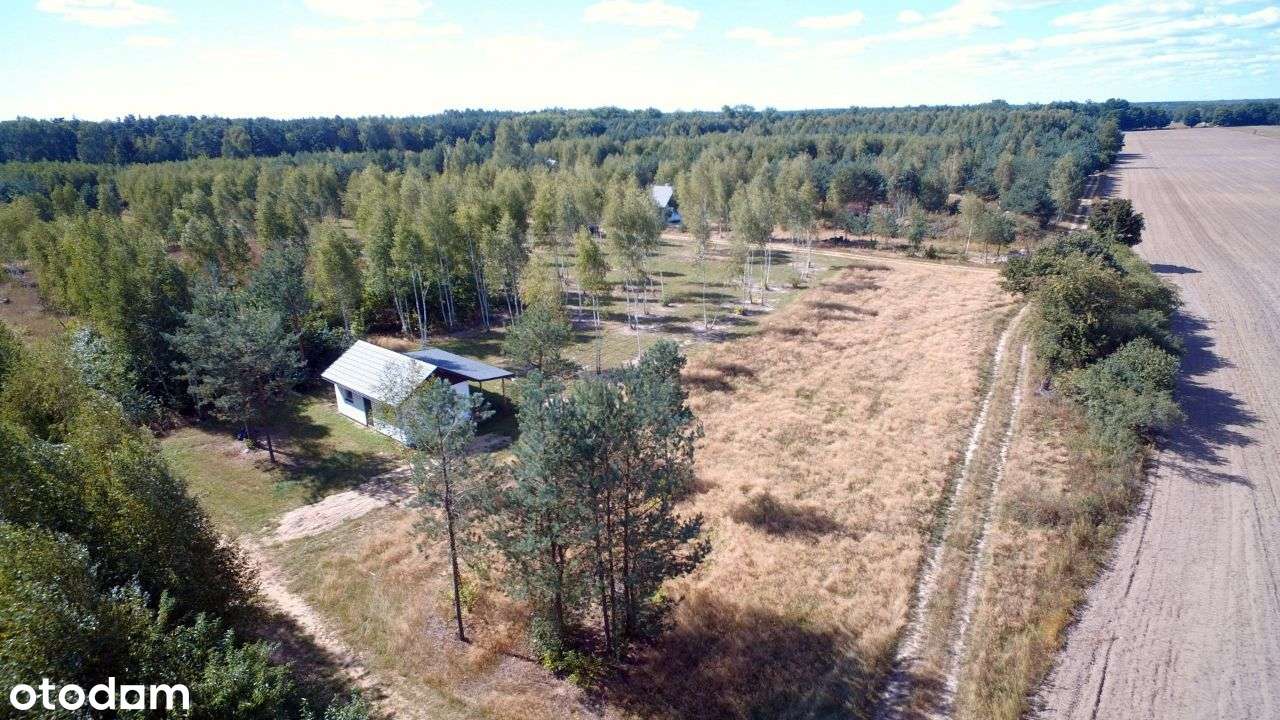 Osada "7 dębów" koło Nowego Miasta-7