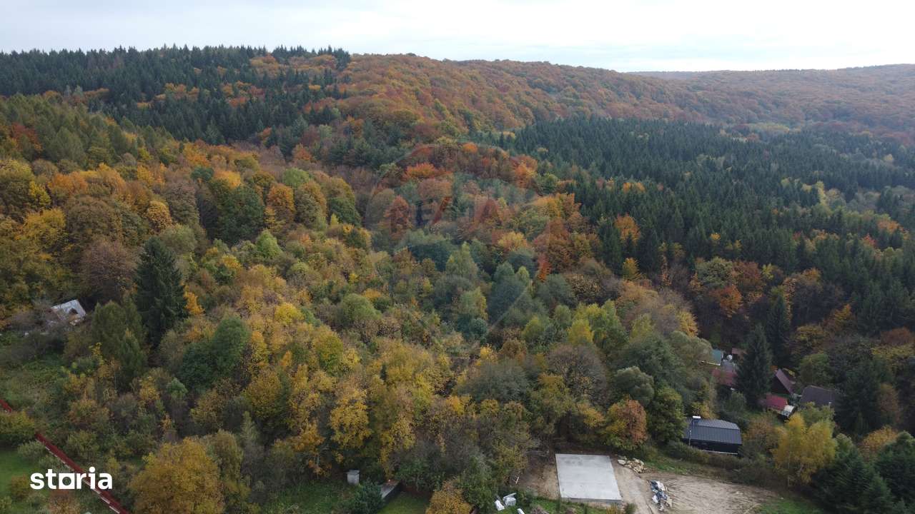 Teren de vanzare în Faget 1542 mp cu panorama-17