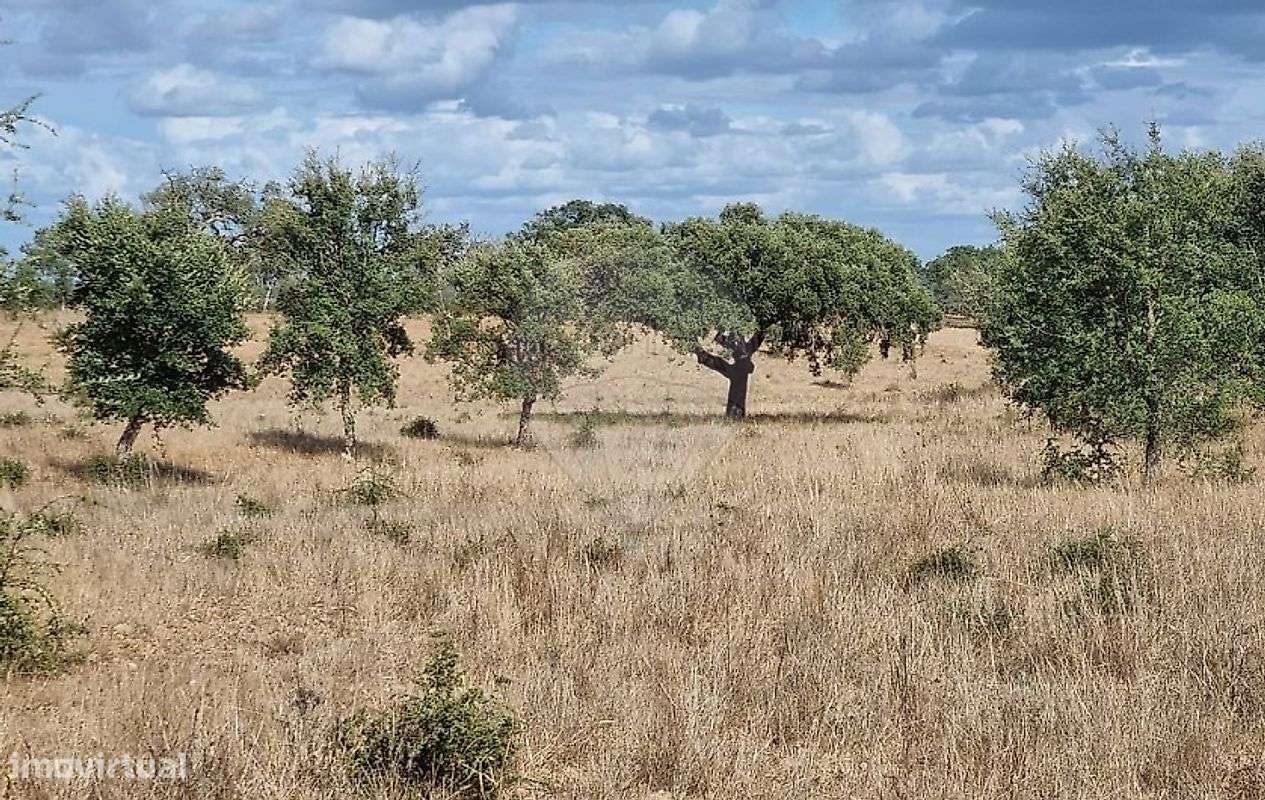 Terreno  para venda - Grande imagem: 2/7