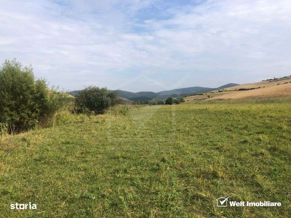 21.500 mp de teren cu privelisti superbe in Valea Agrisului (comuna I-6