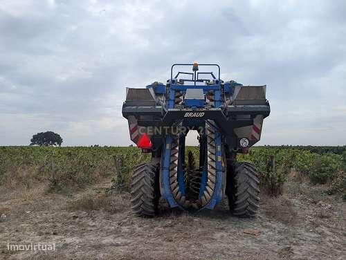Vinha em pleno estado de produção com 6 Hectares de vinhas produtivas - Grande imagem: 4/26