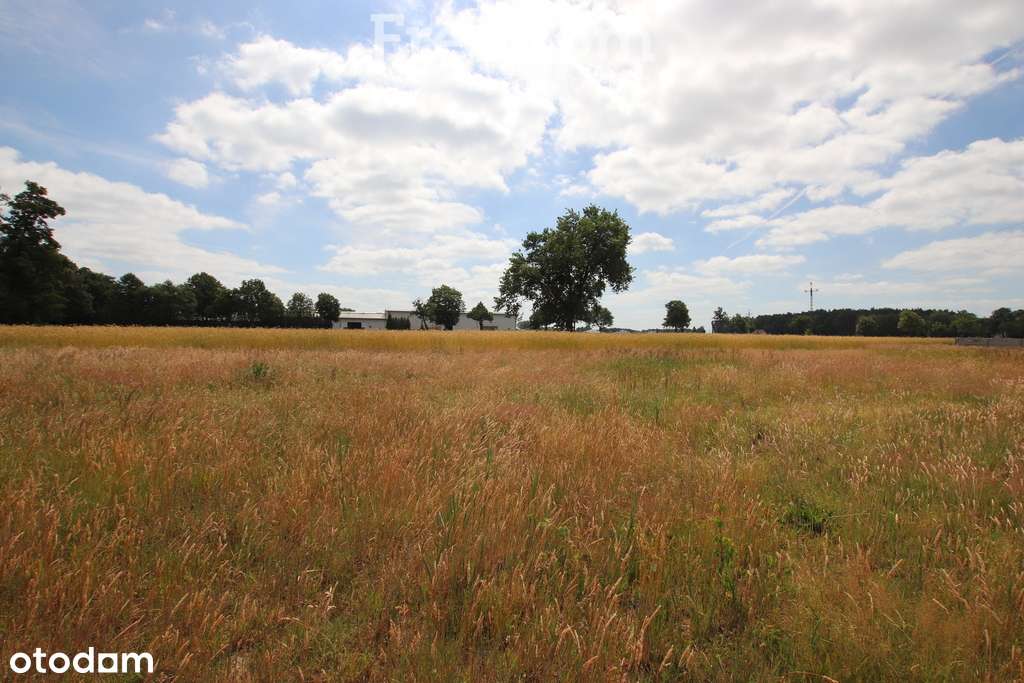 Działka budowlana z WZ Ruszków II - Pełny obrazek: 4/4