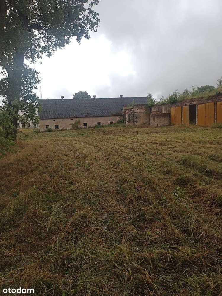 Magazyny i Budynki Plac BAZA TIR Spedycja 25 600 m²  Świecko A2  DK92 - Pełny obrazek: 3/18