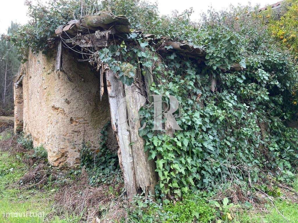 Terreno co  ruinas - Grande imagem: 5/11