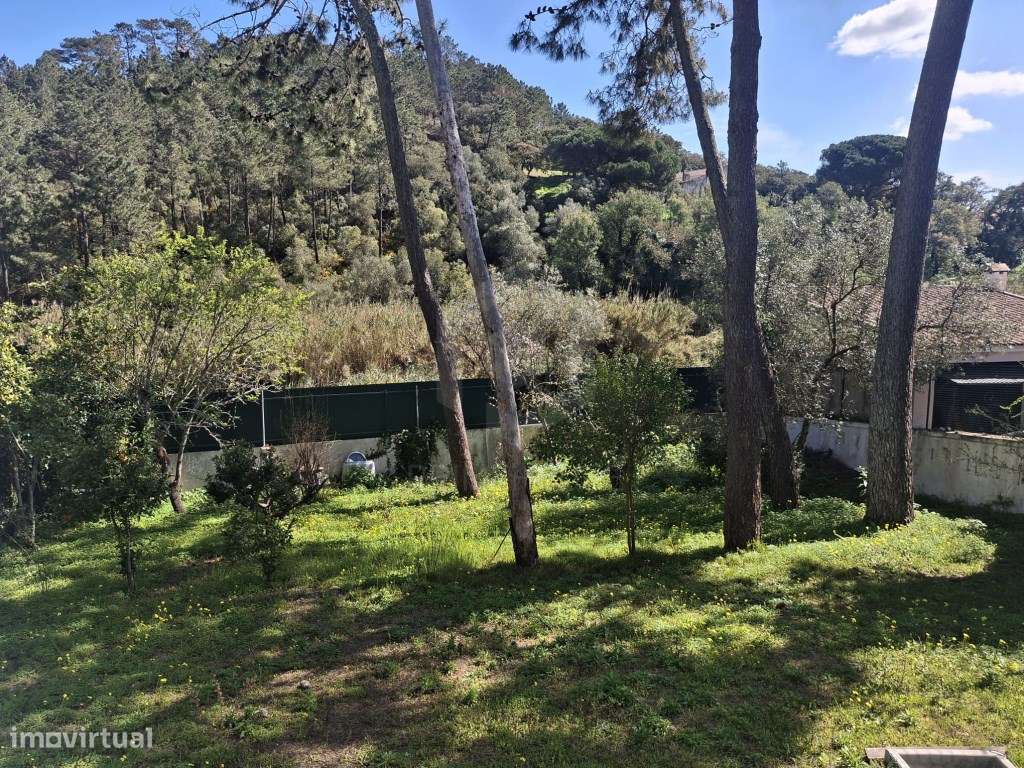 Moradia de Tradicional com Piscina em Lote de 2135 m² - Cotovia-50