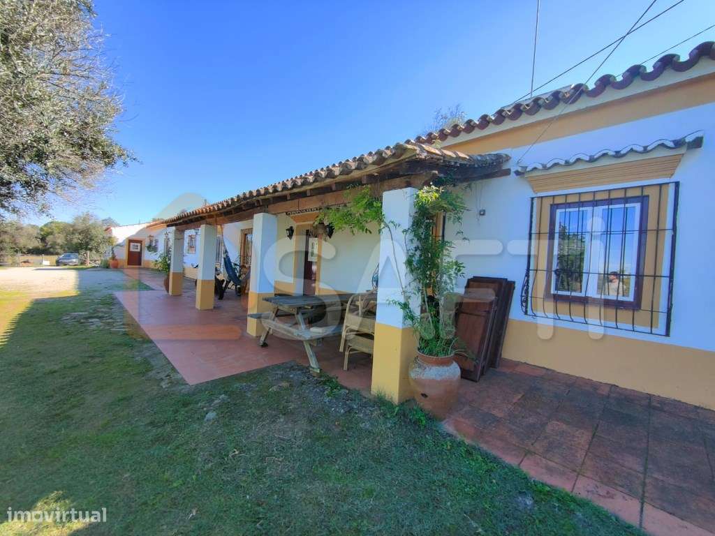 Monte Alentejano com 5 Hectares Charme, Privacidade e Potencial no ... - Grande imagem: 5/32