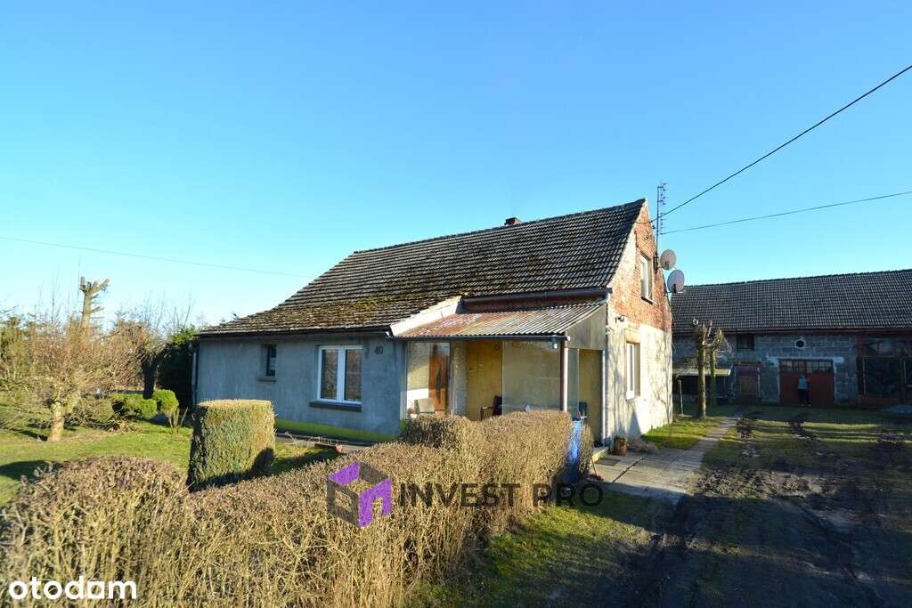 37 arów w Sarnowie - dom z cegły i duże zaplecze-0