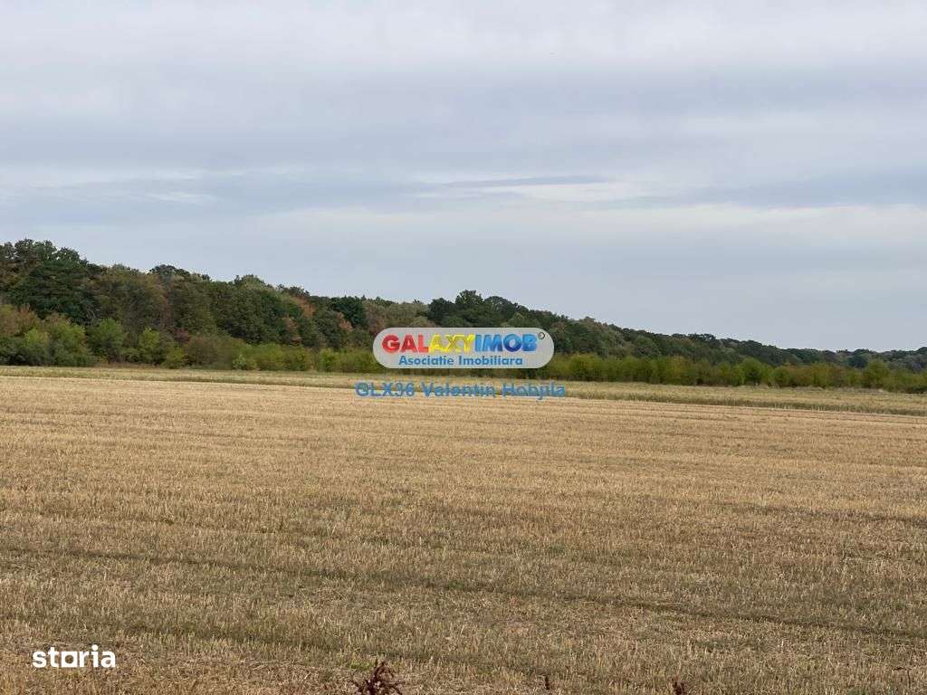 Vanzare teren 3300 mp Peris -deschidere padurea Scrovistea - Imagine principală: 1/5