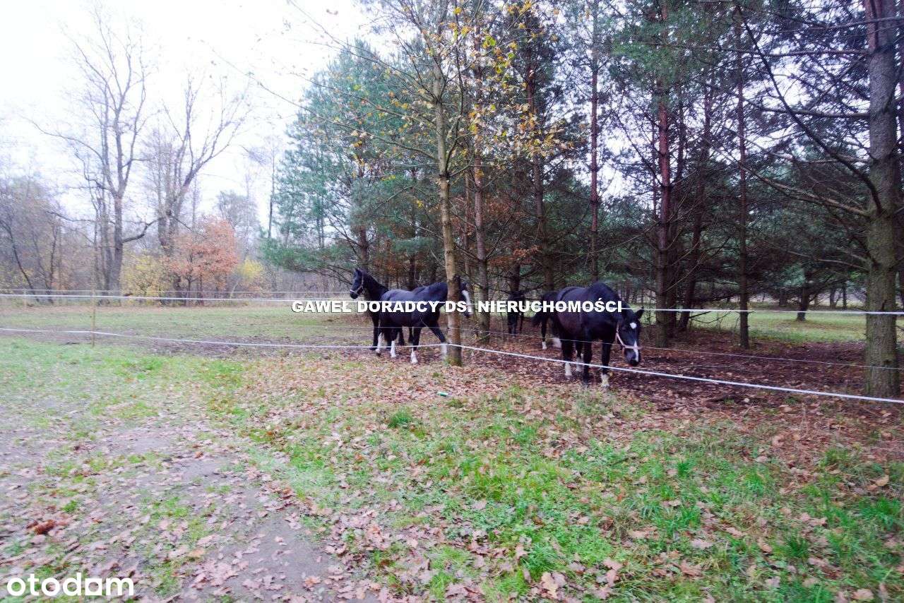 Ośrodek rekreacyjno wypoczynkowy.-7