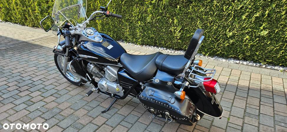 Honda Shadow - 11