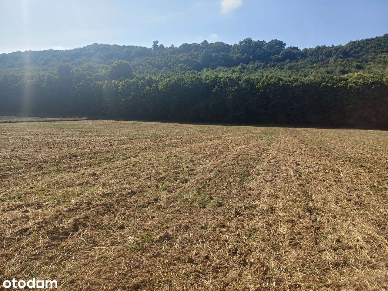 Działki rolne na sprzedaż - Klonów, gm. Racławice-3