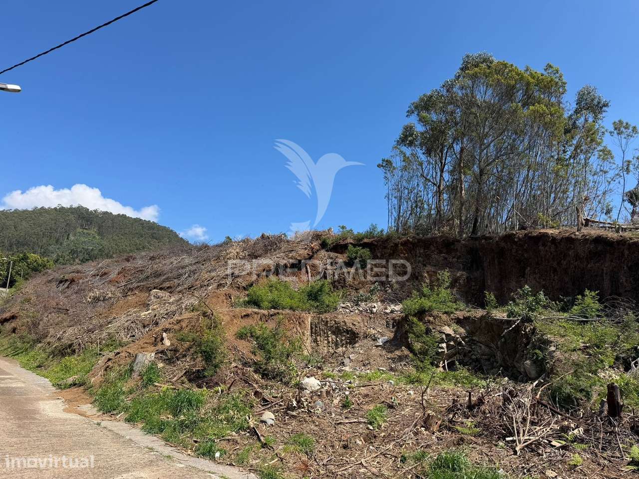 Terreno Urbanizável em São João Ribeira Brava - Grande imagem: 3/9