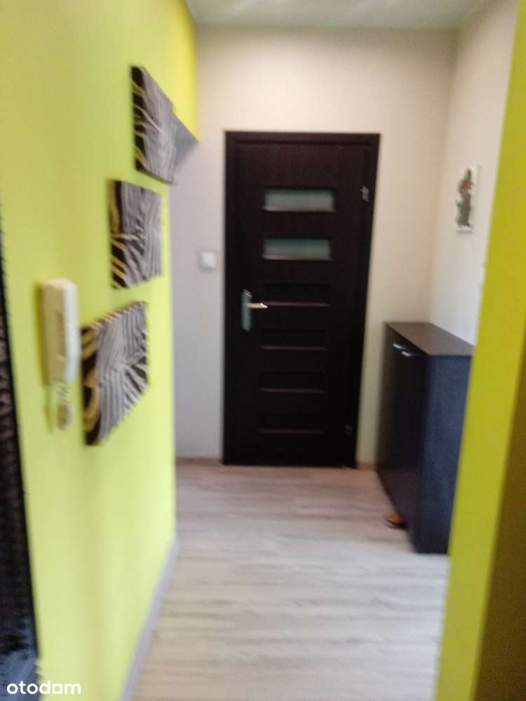 Mieszkanie 2-pokojowe z balkonem w Leśnym