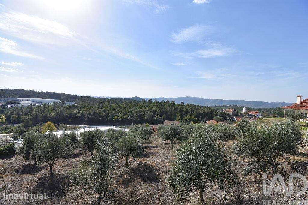 Terreno para construção em São Miguel, Santa Eufémia e Rabaçal - Grande imagem: 4/12