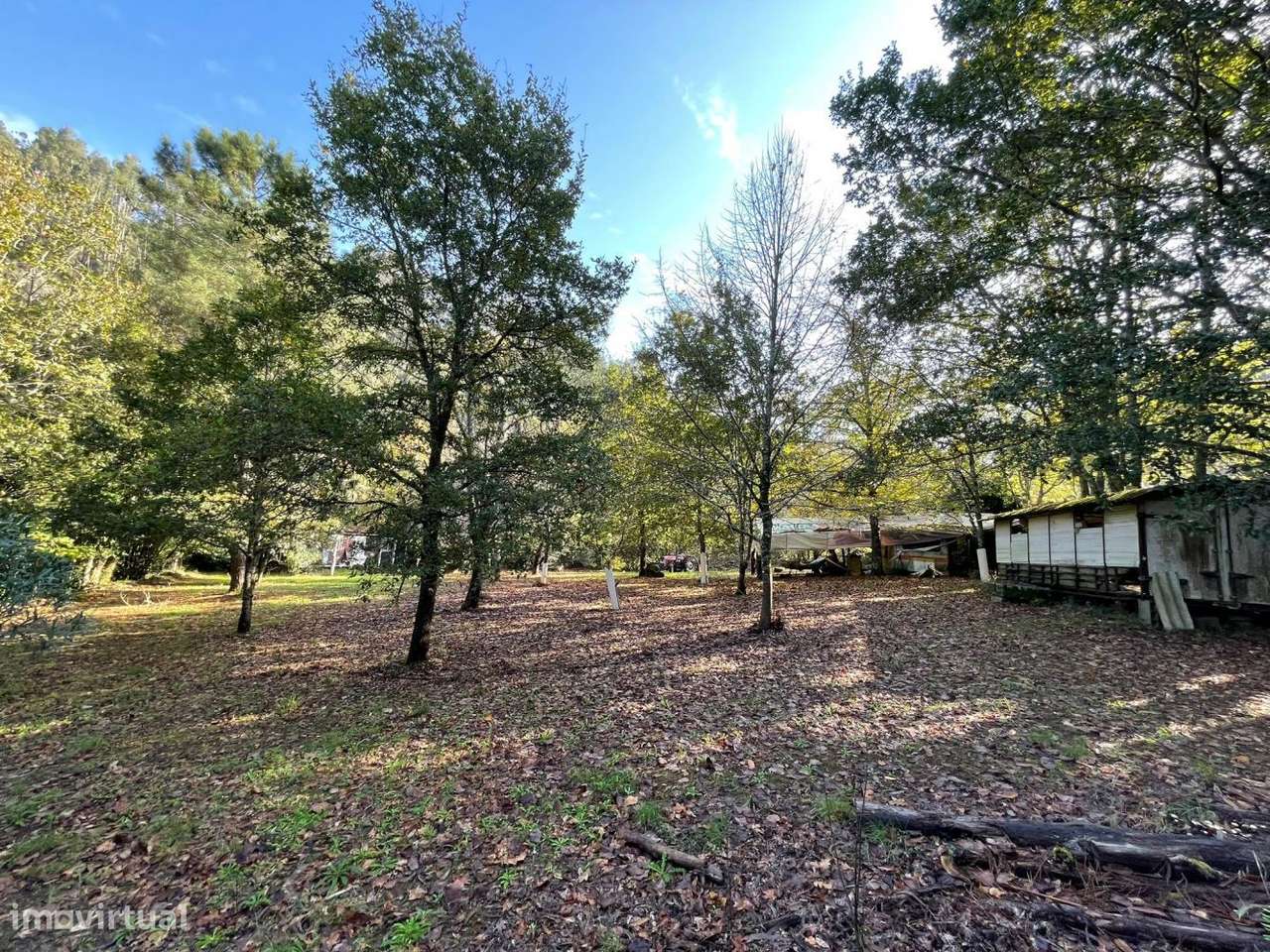 Quinta com casa para recuperar junto a ribeiro-6