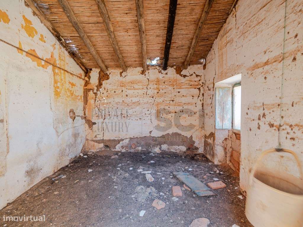 Pequena Quinta com Ruína para Recuperar em Vila Nova de São Bento-5