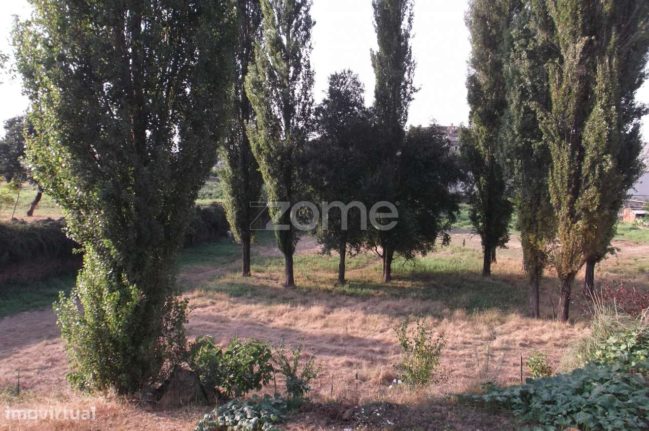 TERRENO PARA CONSTRUÇÃO EM ALTURA NO CENTRO DE ARRIFANA - Grande imagem: 2/16