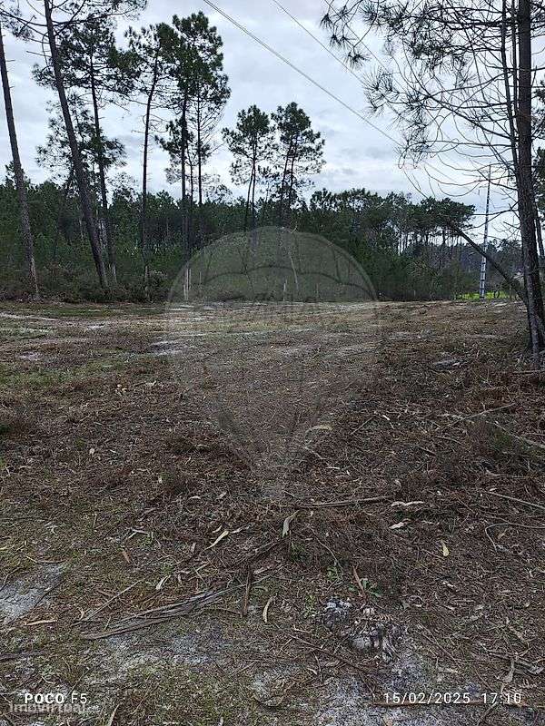 Terreno  para venda - Grande imagem: 5/10