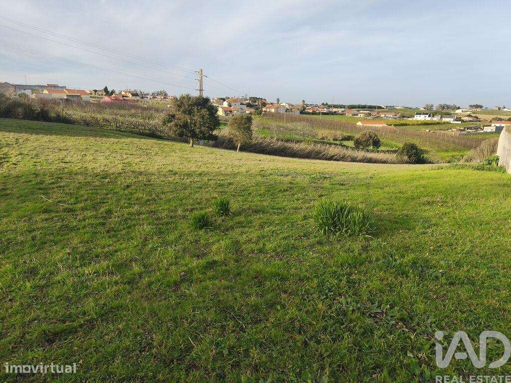 Terreno Agrícola em Cela - Grande imagem: 5/13