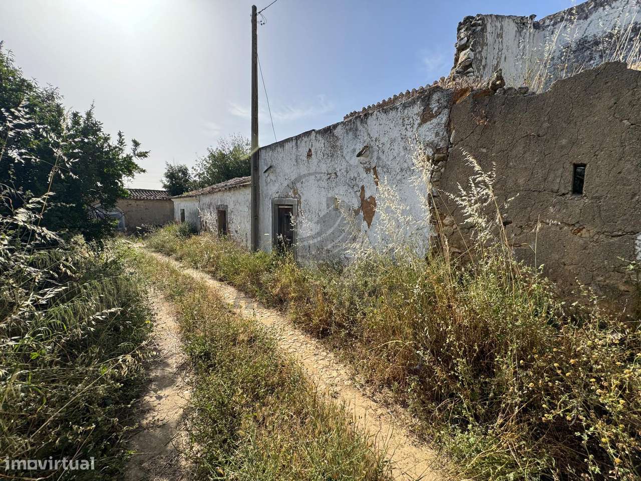 Quinta c/casas, eira e terreno misto – Chaveca, Faro-1