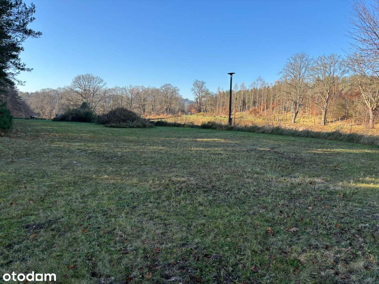 Działka siedliskowa z wydanymi warunkami zabudowy + stawy rybne-7