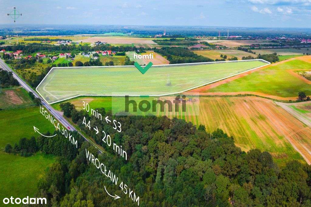 Działka inwestycyjna 11,9 ha w Mazurowicach-9