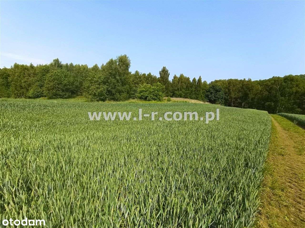 Atrakcyjna Działka W Sąsiedztwie Lasu-11