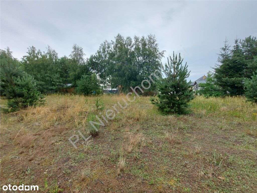 Działka Budowlana W Głuszy Rezerwatu-13