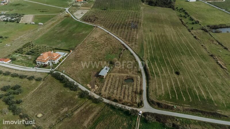 Terreno / Fundão, Telhado