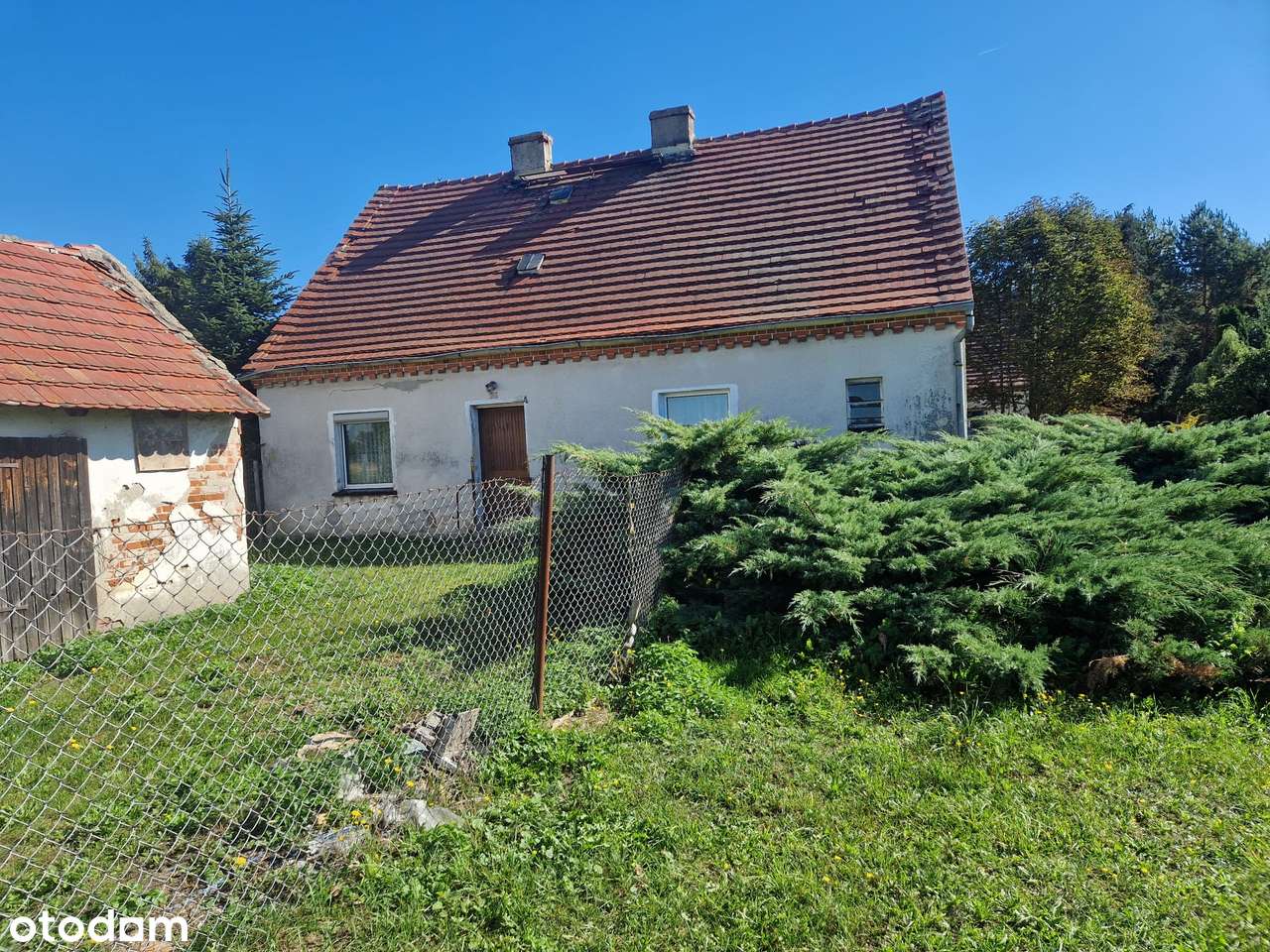 Dobrodzień, uroczy dom pod lasem - Pełny obrazek: 5/14