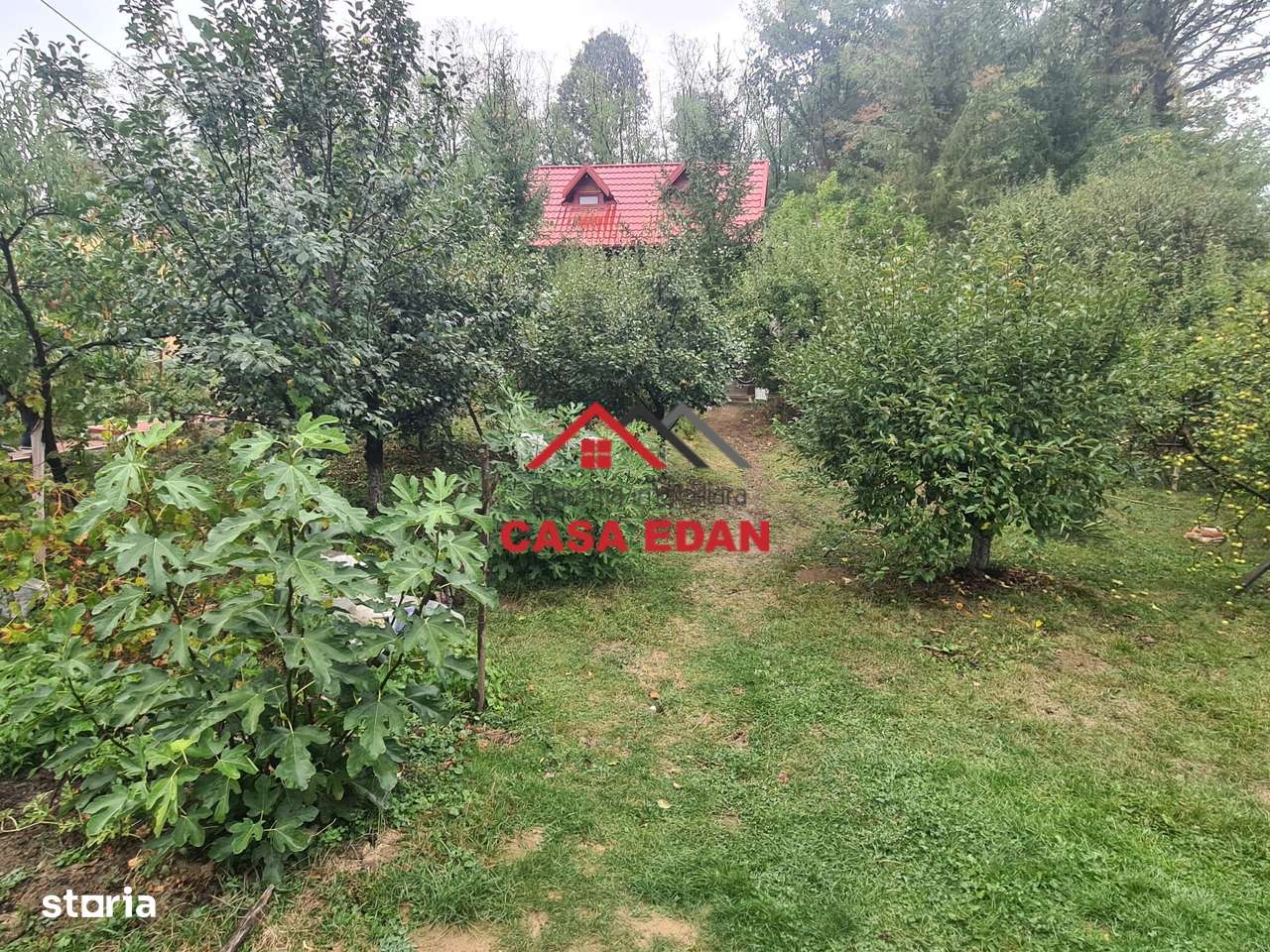 Casa in Provita--95.000e-7