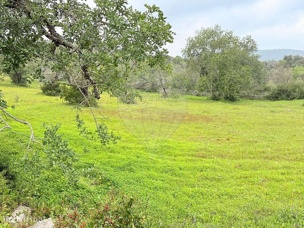 Terreno  para venda - Grande imagem: 5/11