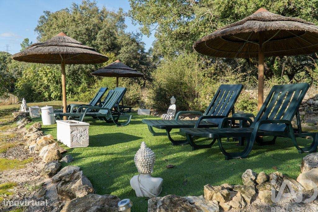 Quinta rural T7 em Areias e Pias de 500 m2 - Grande imagem: 5/40