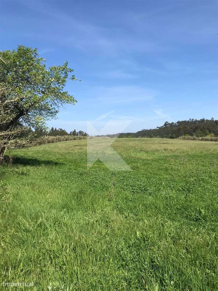 Moradia T7 em Coimbra para restaurar-5