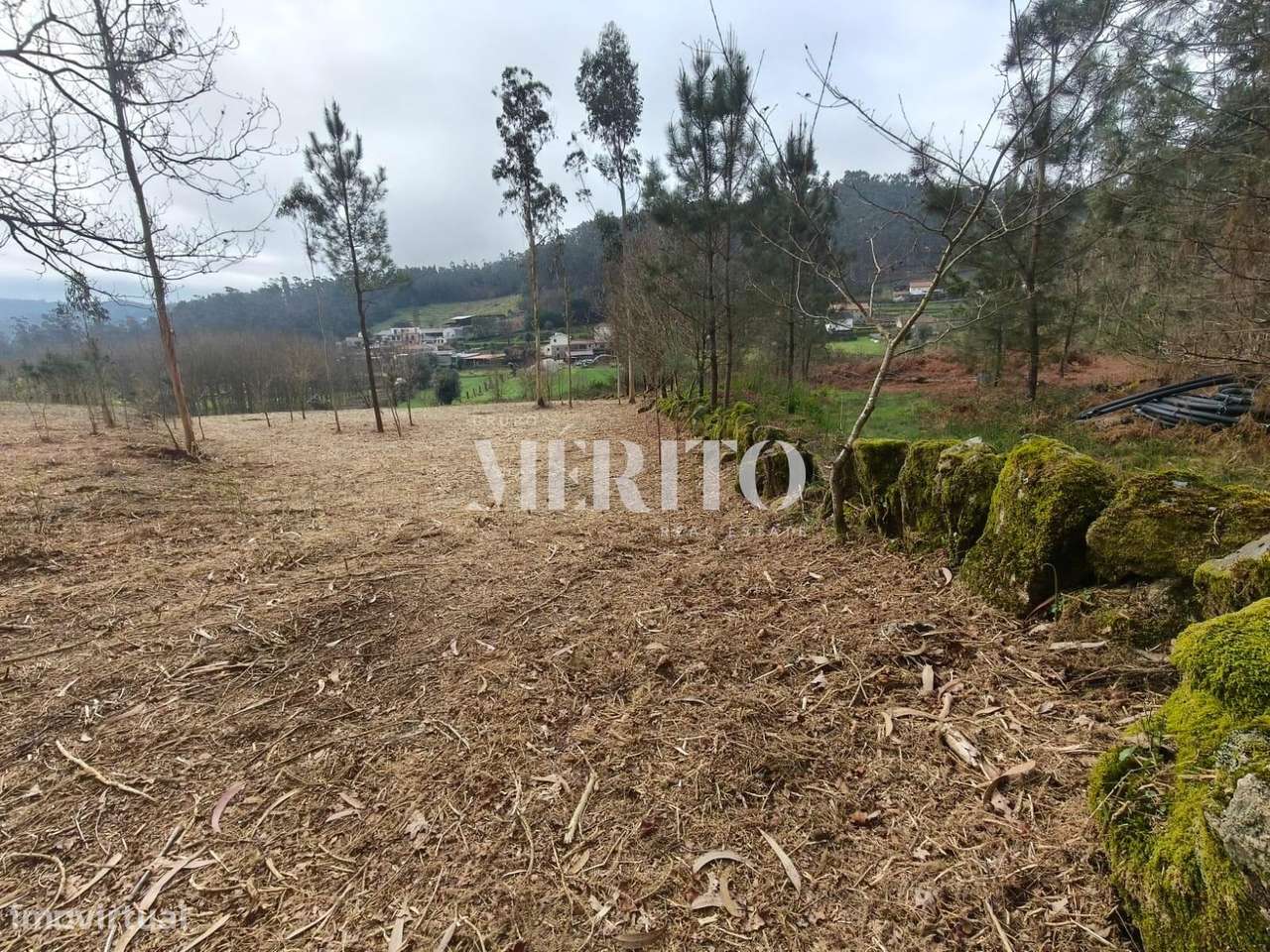 Terreno Agrícola com 10.760m2 em Cossourado frente ao Rio Neiva-15