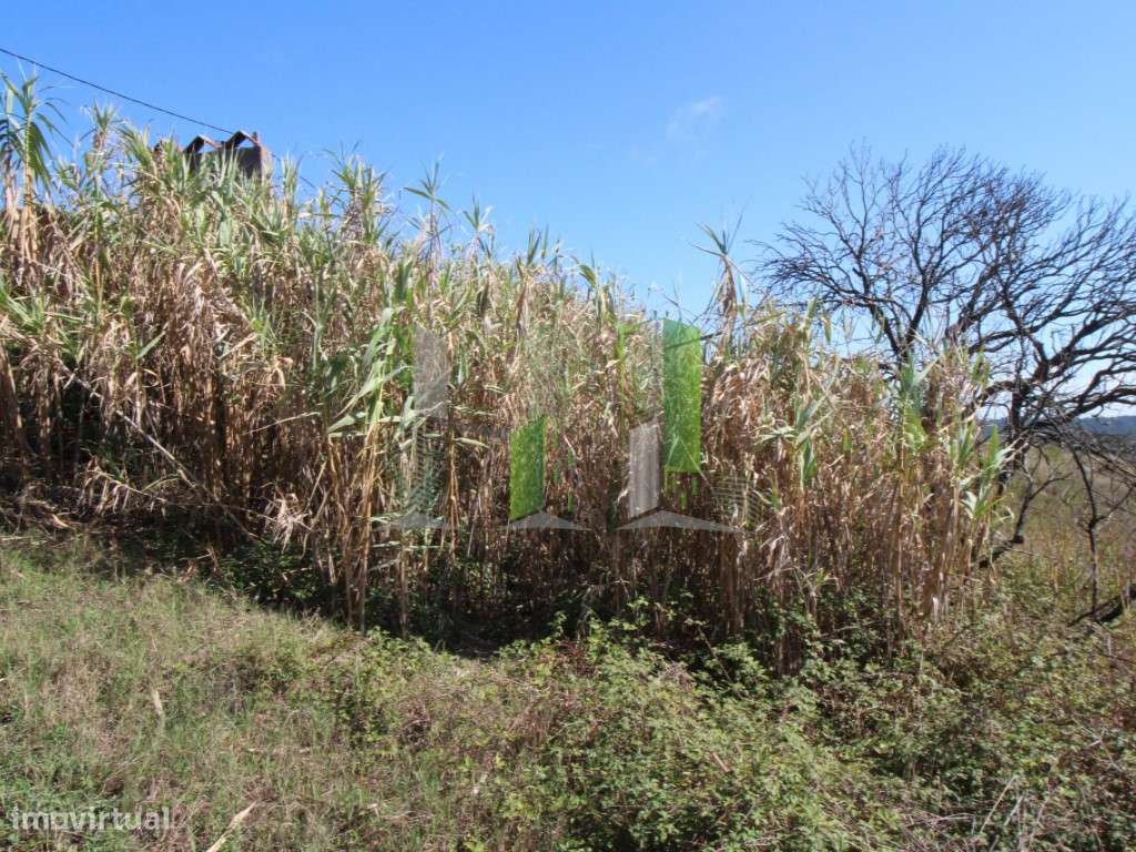 Venda terreno urbano Figueira da Foz - Grande imagem: 3/12